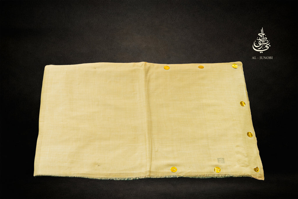 1 باشمينا سادة